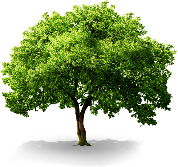 플래티늄 대전온천점